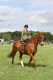 E36_2313 2026