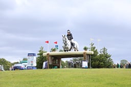 D39_3621 2026