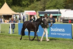 E31_0503 2026