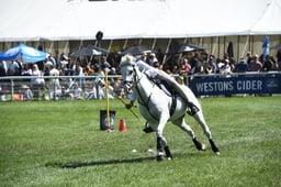 D42_2528 2026