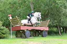 153 Tully Boy