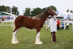 E44_0580 2026