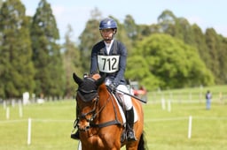 712 ARDEO GAMIRA GOLD