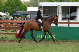 146 Intermediate SRT 153cm