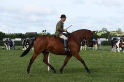 E36_0408 2026