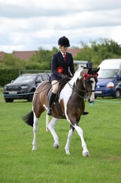 14 HOYS CHAPS Non Native Pony