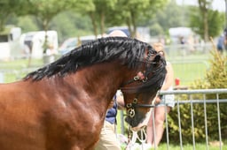 E34_2170 2026