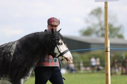 J36_7497 2026