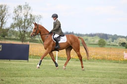 81 CAUNTON POLLYANNA