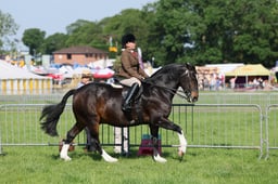 C33_0665 2026