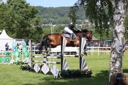 H310 Senior 1.05m Open