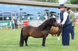 H44_8019 2026