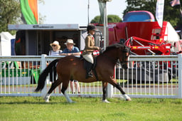 W33_0741 2026