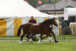 E34_2504 2026