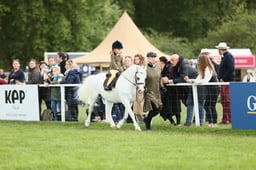E30_3625 2026