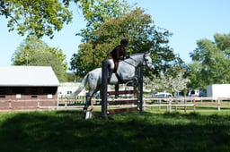 M19_0958 2026