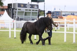 E44_0129 2026