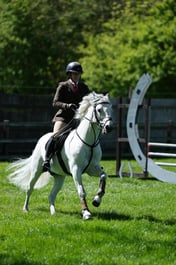 M19_0570 2026