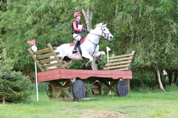 21 Goldthorn Bluebell