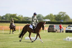 52 TALENT SQUALLS ESTATE Z