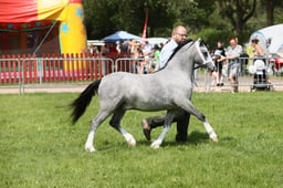 E34_1686 2026