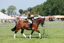 C34_0990 2026