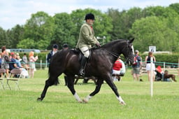 H36_8049 2026