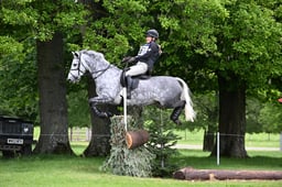 H21_0060 2026