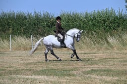 S60_0574 2026