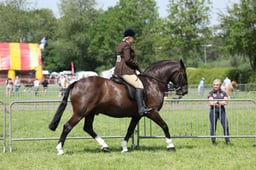 C34_1391 2026