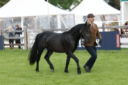 W29_0515 2026