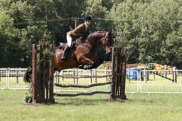 H112 Open Working Hunter