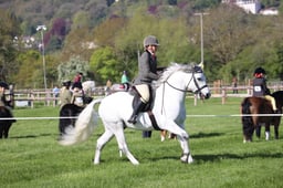 C19_0475 2026