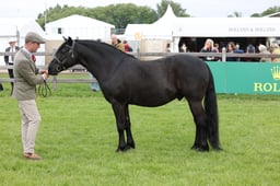 W29_0642 2026