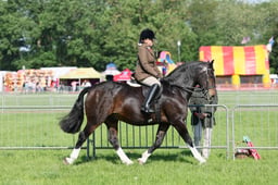C33_0616 2026