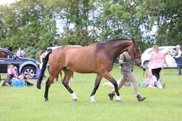 J36_6896 2026
