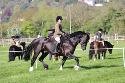 C19_0416 2026