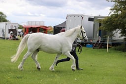J36_7063 2026