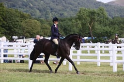 E43_0058 2026