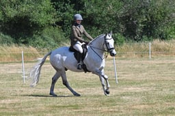 S60_0527 2026