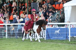 02 Junior Concours First Ridden