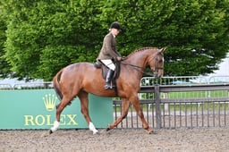 Amateur Hunter Championship