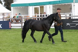 W29_0516 2026