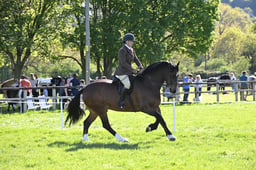 S19_8676 2026
