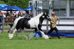S28_8400 2026