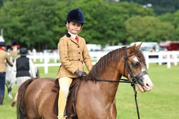 Z41_0209 2026