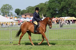 C34_0786 2026