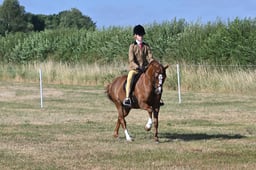 S60_0105 2026