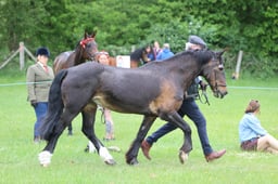 J36_6608 2026