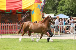 E34_2227 2026